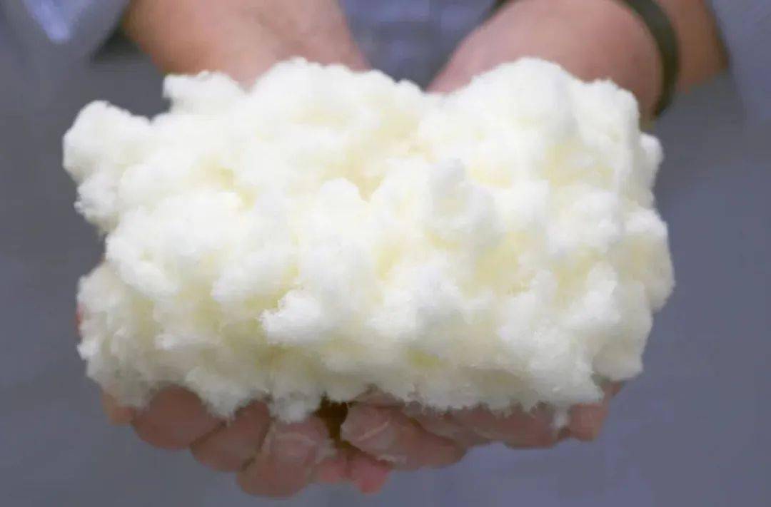 Le marché mondial de la pâte de bois devrait atteindre 89 142 millions USD d'ici 2029